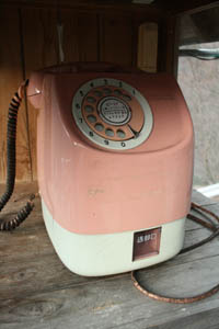 ピンクの電話（１月１６日）.JPG